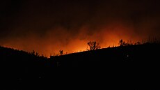 Ú�ady v regionech �ecka vyhlásily vysokou pohotovost kv�li  po�ár�m. (11. srpna...