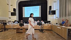 V hradeckém Adalbertinu se uskute�nilo ve�ejné projednání nového územního...