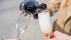 ilustra�ní snímek