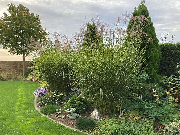 První jarní práce na zahradě: Co stihnout v březnu, aby byla úroda bohatá