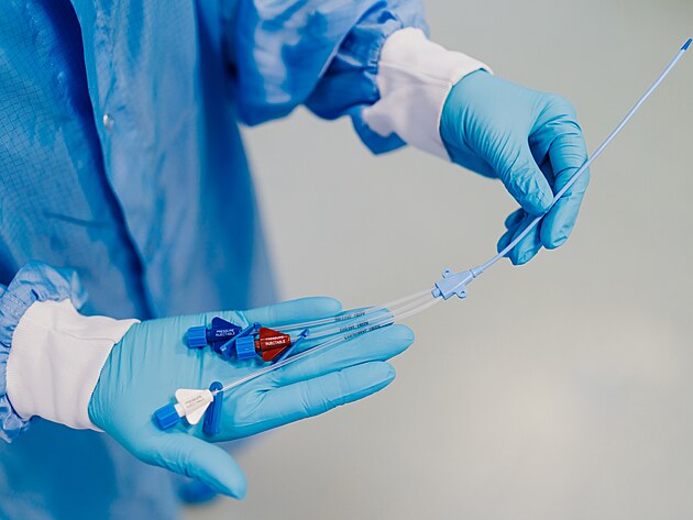 �e�i jsou velmi �ikovn� a vzd�lan� n�rod a my se toho sna��me vyu��vat