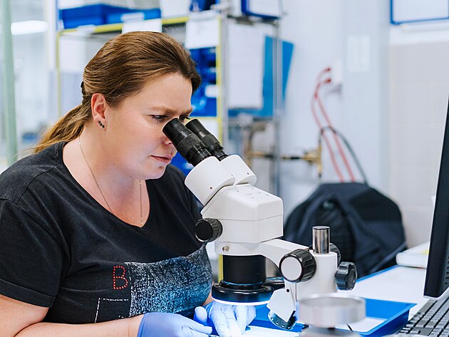 �e�i jsou velmi �ikovn� a vzd�lan� n�rod a my se toho sna��me vyu��vat