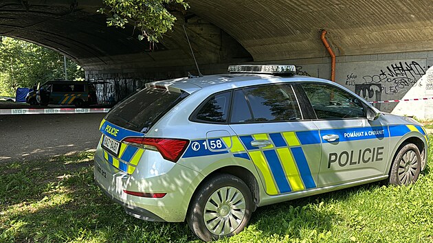 Z Vltavy u Hl�vkova mostu vyt�hli policist� ve spolupr�ci s hasi�i t�lo mu�e. (24. srpna 2024)