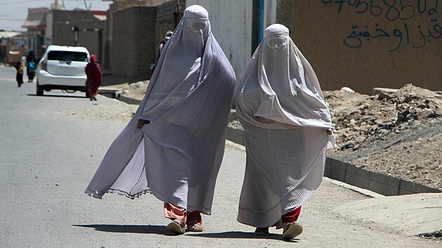 eny v Afghnistnu podle novch pravidel hnut Tlibn nejene musej chodit mimo domov cel zahalen, na veejnosti nesm bt ani slyet jejich hlas. (22: srpna 2024)