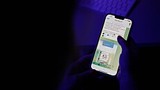 Chatování na sociální síti Telegram (25. srpna 2024)