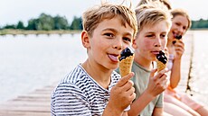 Vtím prodejm zmrzliny v esku letos nahrávalo teplé jaro a tropické léto.