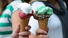 Ilustra�ní snímek