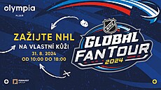 Zaijte NHL na vlastní ki!