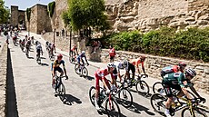 Peloton b�hem osmé etapy Vuelty, v �erveném jede lídr závodu Ben O�Connor...
