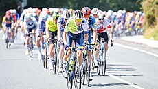 Také ve dvanácté etap Vuelty se v pelotonu výrazn bojuje o únik.