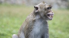 ilustra�ní snímek