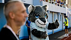 Ústí nad Labem, 16. 8. 2024, FK Viagem Ústí nad Labem - Arsenal eská Lípa,...