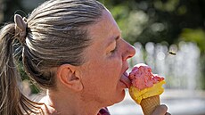 Na náplavkách, v parku u stánku s oberstvením nebo na zahrádce ped...