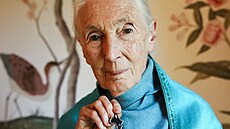 Jane Goodallová (15. srpna 2024)