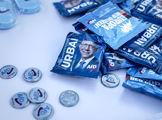 Odzná�ky a dal�í propaga�ní p�edm�ty Alternativy pro N�mecko (AfD), s tvá�í...