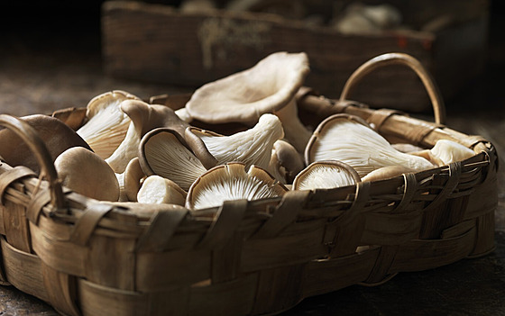 ilustra�ní snímek