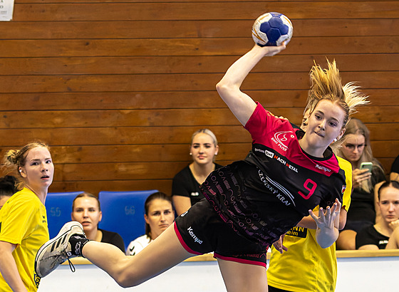 ilustra�ní snímek