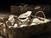 Ilustra�ní snímek