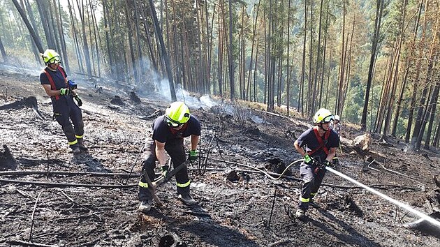 Hasii zasahuj u poru lesa v Msteku Trnvce. (31. srpna 2024)