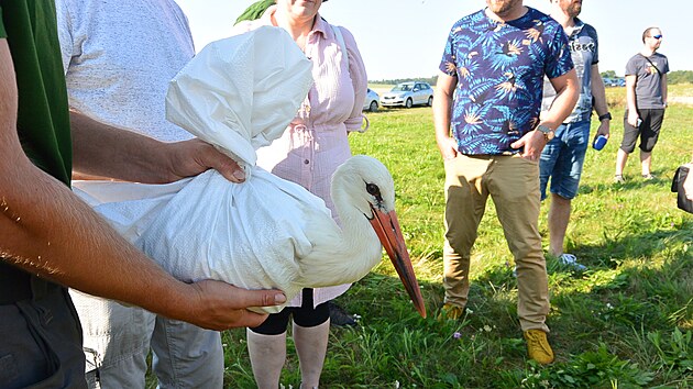 Vypoutn skupiny p ze zchrann stanice Paska zpt do voln prody. (29. srpna 2024)