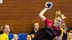 Momentka ze zápasu DHC Plze� - ATH Handball