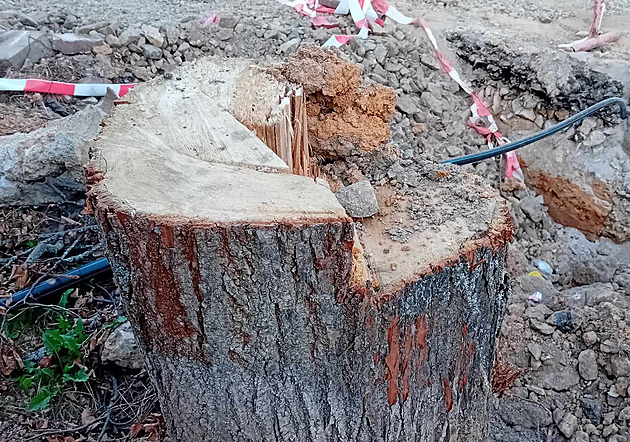 st obyvatel Hrdjovic nesouhlas s kcenm lip podl opravovan Tnsk ulice.