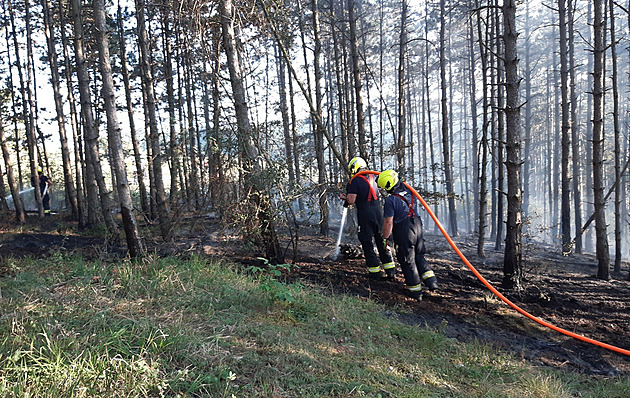 V Radotíně hořel les. Požár je lokalizovaný, pomůžou letečtí hasiči