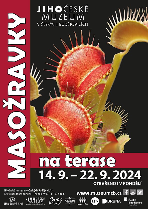 V Jiho�esk�m muzeu za�ala prodejn� v�stava maso�rav�ch rostlin