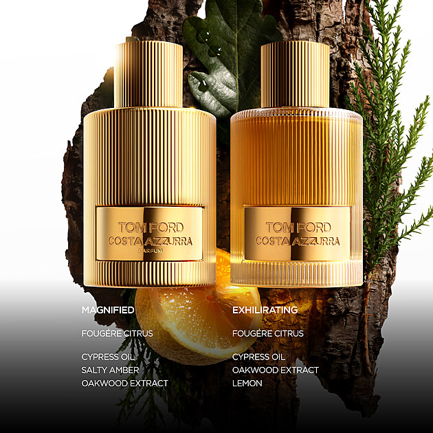 Dali jsme pro v�s dohromady ty nejlep�� v�n�, kde hraj� citrusy prim.