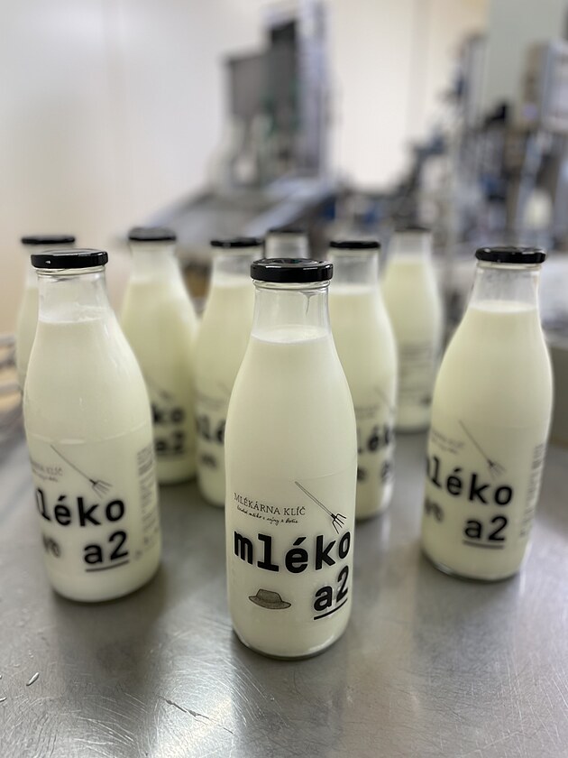 Ml�k�rna Kl��: �Ru�n� zpracov�n� je pro n�s kl��ov�