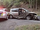 Hasi�i likvidovali u Str�e nad Oh�� strom p�es silnici, narazilo do nich auto....