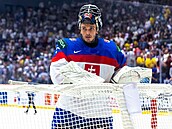 Stanislav �korv�nek