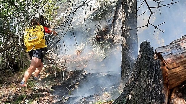 V oblasti pod Tom�ovsk�m v�hledem ho�elo, po��r nahl�sil n�hodn� turista. Hasi�i a z�chran��i po��r lokalizovali.