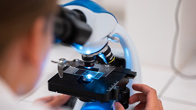 Velm pat v Pevnosti poznn vkend 7. a 8. z 2024 dky spoluprci s Katedrou biochemie a Katedrou geoinformatiky Prodovdeck fakulty a eskm svazem vela.