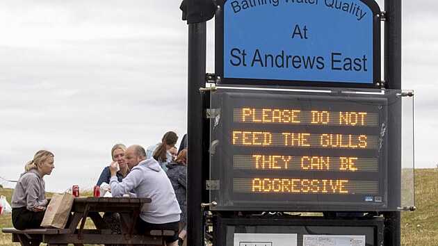Nekrmte racky, mohou bt agresivn, varuje npis turisty v St. Andrews.