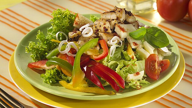 Zeleninový salát s kuecím masem a ampiony