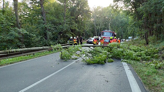 Hasii likvidovali u Stre nad Oh strom pes silnici, narazilo do nich auto. (31. srpna 2024)