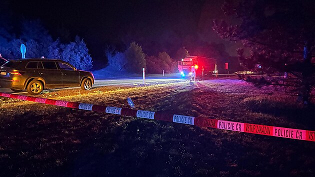 Policist v pondl veer na dlnici D8 u Veltrus zastavili nkladn auto, kter pevelo asi 30 migrant. (2. z 2024)