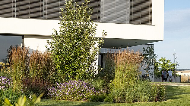 Jen d�ky skv�l� �pr�ci� travinn�ch a trvalkov�ch v�sadeb jsme si mohli k...