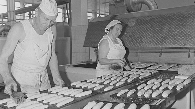 Snmek z roku 1975 i s dobovm popiskem: V Jihlav byla uvedena do provozu nov modern pekrna. Nov pekrna denn dodv 160 - 70 000 kus blho peiva, 150 - 160 q chleba a 20 q jemnho peiva. Na novm zvod se neobejdou bez pvodn vroby jemnho peiva a proto je zde i provoz, kde jsou vyrbny slan loupky podle dvjho zpsobu. Na snmku je zleva peka Adolf lechtick a Rena Kabtkov pi vrob slanch loupk.