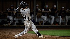 Martin �ervinka, hrá� Drak� Brno, p�i zápase baseballové extraligy. (2024)