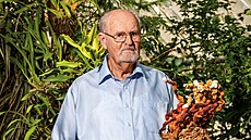 Svatým grálem b�ného �eského houba�e je h�ib smrkový.