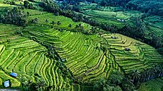 ilustra�ní snímek