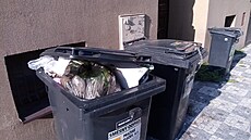 Pokud je kontejner na sm�sný odpad blí�, ne� ten na t�íd�ní, skon�í petky a...