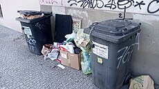 Pokud je kontejner na sm�sný odpad blí�, ne� ten na t�íd�ní, skon�í petky a...