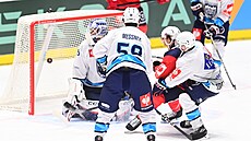 Úto�ník Dynama Luká� Sedlák p�i pardubickém gólu na 2:0. (5. zá�í 2024)