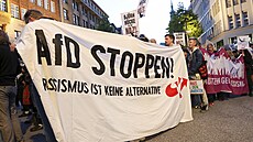 Demonstrace proti krajn pravicové AfD v Hamburku (1. záí 2024)