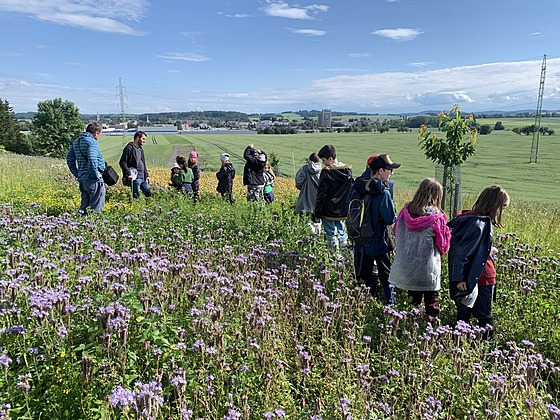Kvetoucí lokalitu plnou �ivota nav�t�vují krom� �melák� a dal�í fauny i mladí...