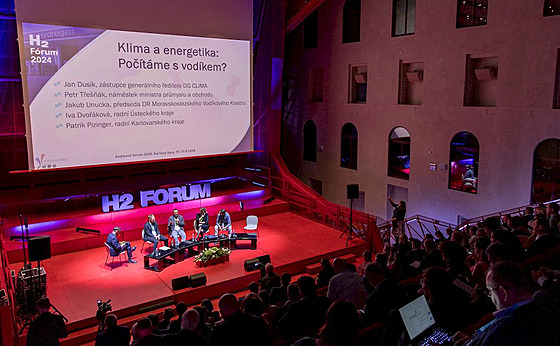 Na konferenci �e�nila také krajská radní Iva Dvo�áková.