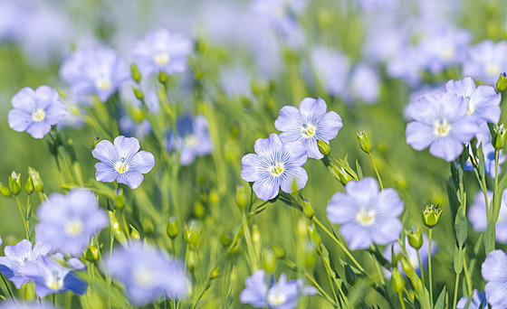 ilustra�ní snímek